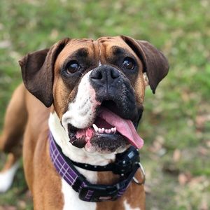 Meet your Posher, Taylor